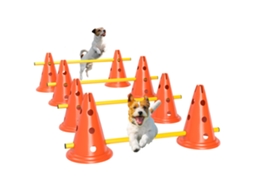 Conjunto Agilidade Cães 8 Cones 8 Barras Bolsa Laranja