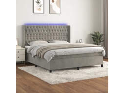 Vidaxl Cama Box Spring C/ Colchão/led 160x200 Cm Veludo Cinzento-claro