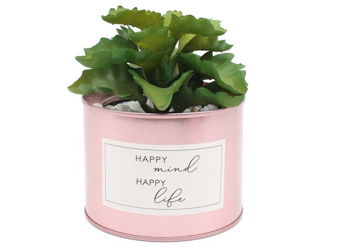 Plantas Suculentas Simuladas Em Vaso Flores Artificiais Shidi Decoração De Escritório Falsa Árvore Em Miniatura Paisagem Artificial