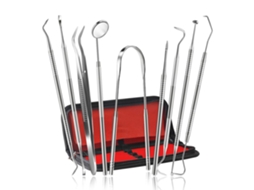 Ferramentas para Palitos Dentais Pacote com 9 Palitos de Dente em Aço Inoxidável Uso Pessoal Ou para Cuidados Orais de Animais JEDBESETZT