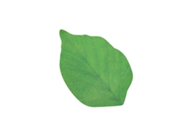 Bloco De Notas Adesivas, 50 Folhas, Verde