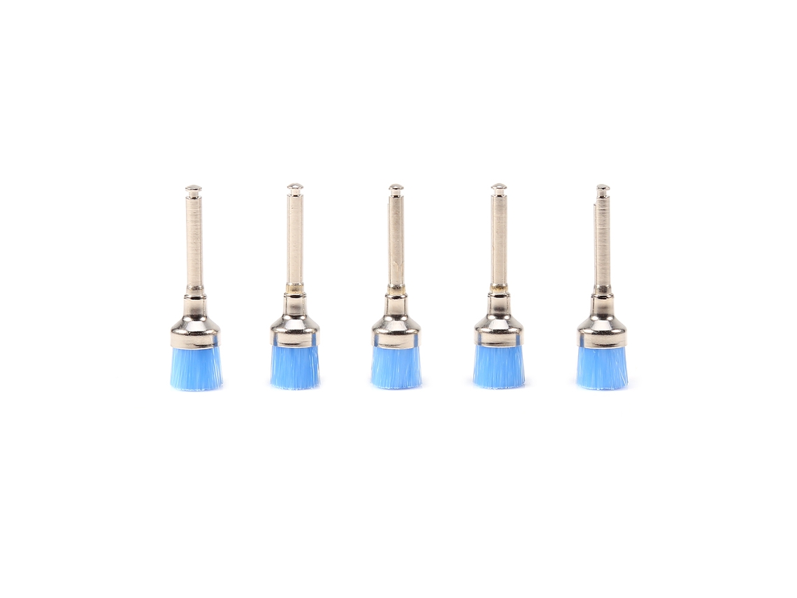 Laxiscreed Escovas Descartáveis Para Polimento Dentário Em Nylon, Mistura Multicolorida