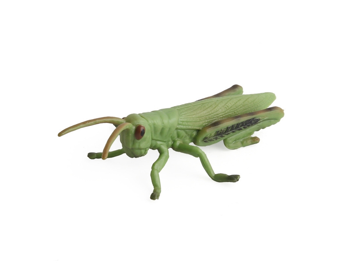 Ats figura de Insetos de Plástico Simulados Brinquedo Educativo Modelo Animal para Meninos e Meninas