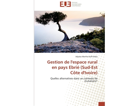 Livro Gestion De Lespace Rural En Pays Ebrié De Koffi-didia-a (inglês)