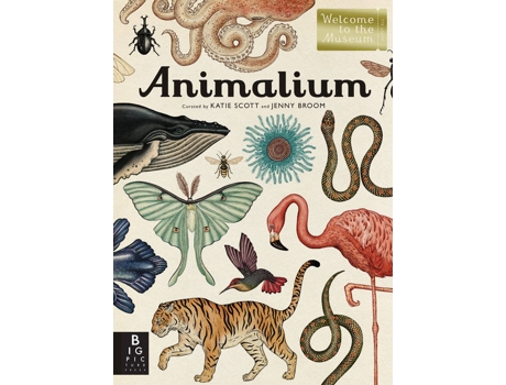 Livro Animalium de Jenny Broom