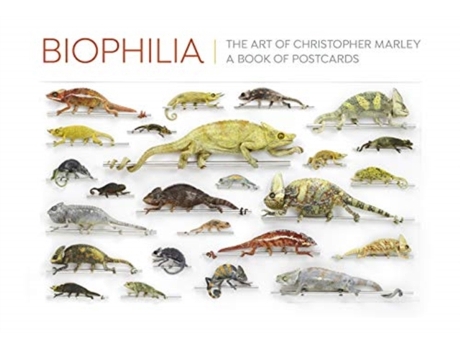 Livro biophilia the art of christopher marley de illustrated by christopher marley (inglês)