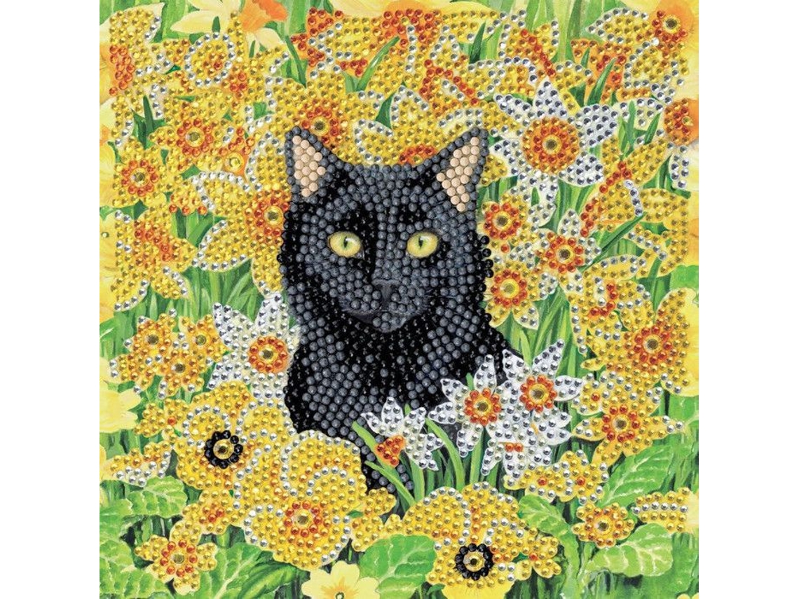 Kit De Arte Crystal Carte De Bordado Com Diamantes 18x18cm Gato No Campo Crystal Art