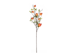 Ramos decorativos de romã verde para primavera e encerramento de casa LAXISCREED