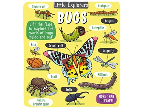 Livro Little Explorers Bugs de Little Bee Books (Inglês - Capa Dura)