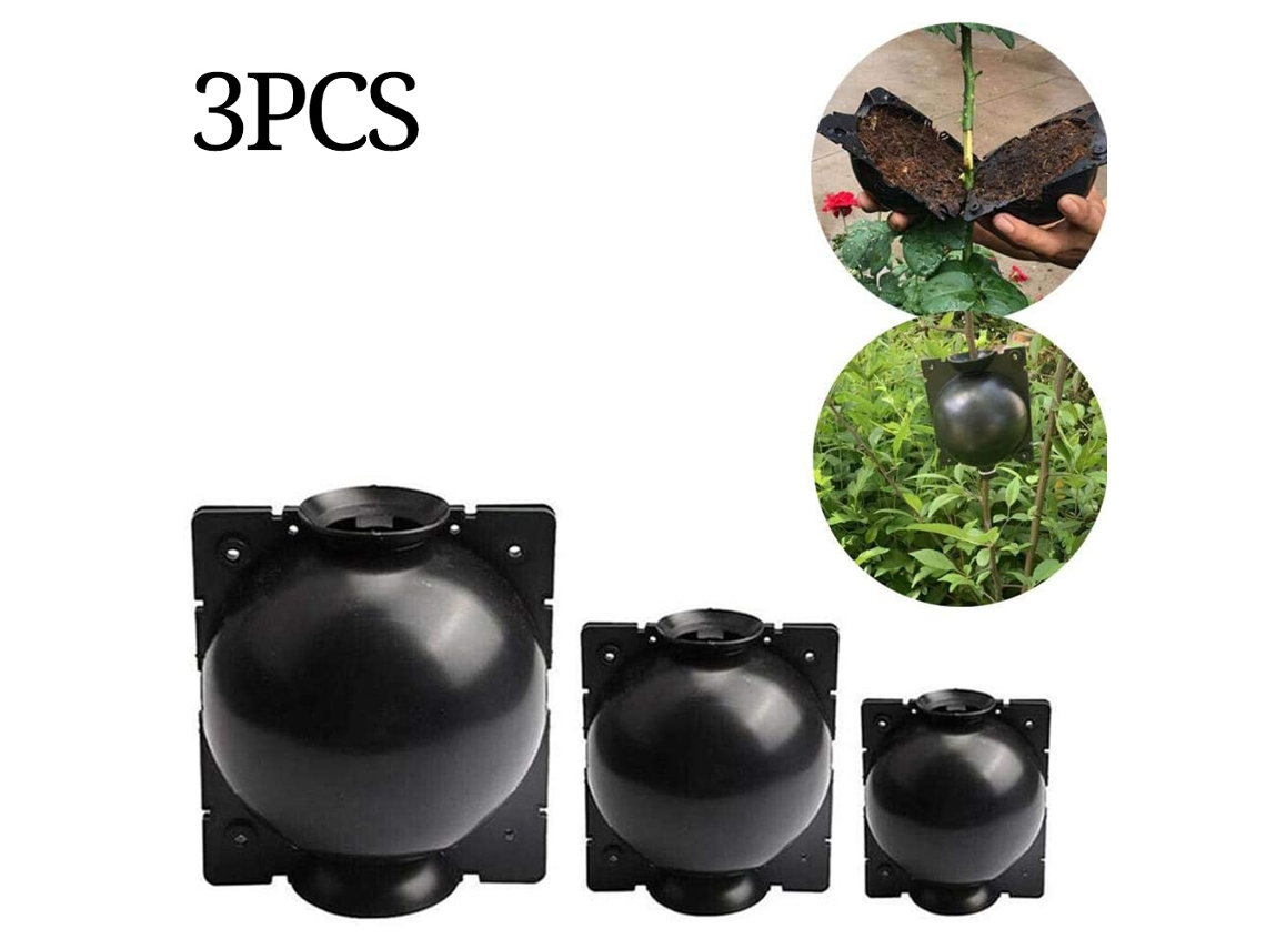 3pcs Esfera De Enraizamento Para Plantas Caixa De Criação Jardim
