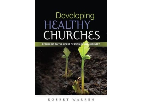 Livro developing healthy churches de robert warren (inglês)