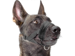 Mordaça Macia De Nylon Para Cachorro Anti Mordida Anti Latido Ajustável L Xxl