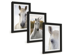 Composição De Quadros Cavalos Brancos Na Natureza Espelharte (3 Peças 20x30 Cm)