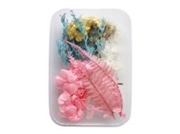 Kit de Flores Secas para Velas Aromáticas, 10 peças LAXISCREED