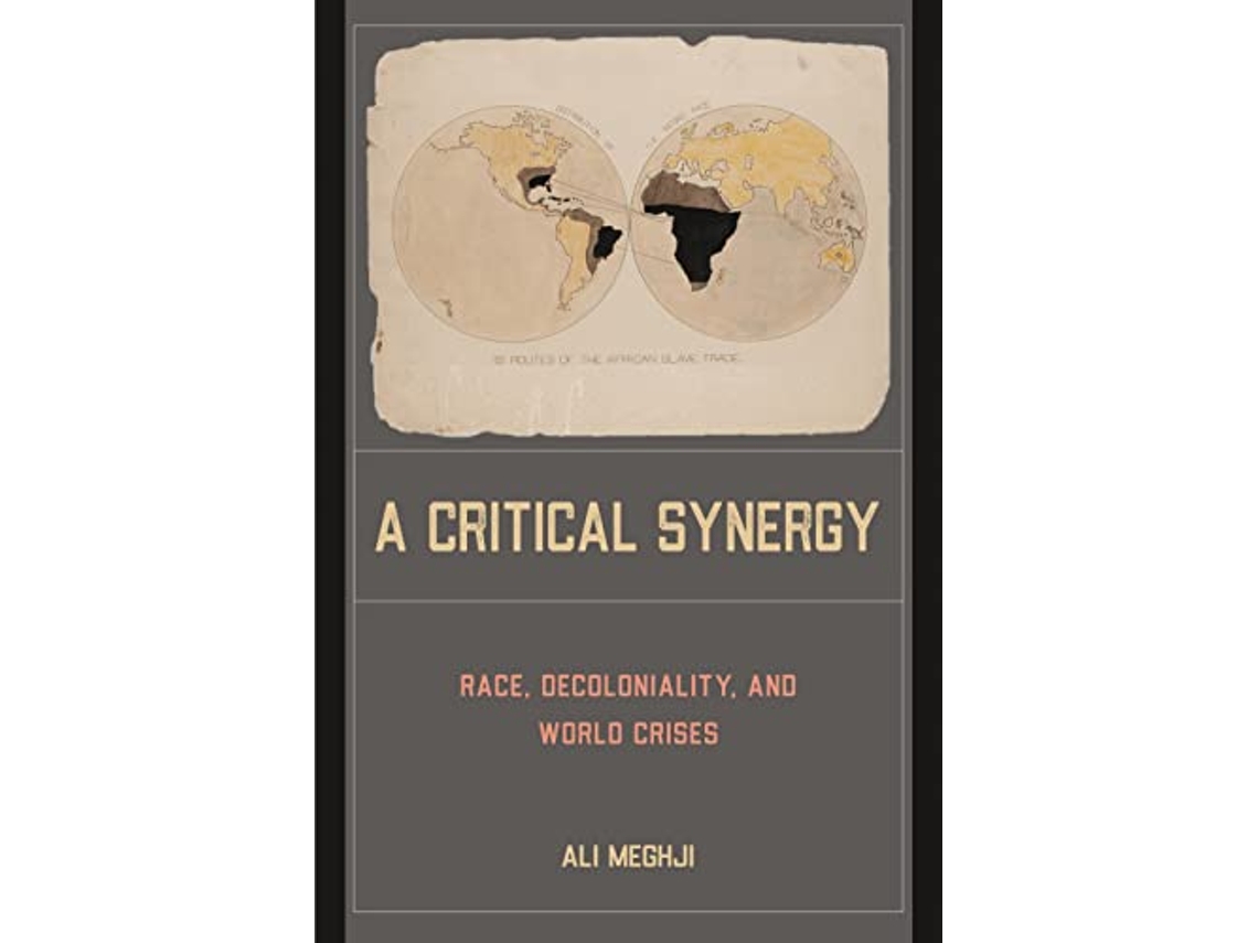 Livro A Critical Synergy de Ali Meghji (Inglês)