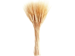 Flores Secas Rústicas para Decoração de Casa, Talos de Trigo Secos Naturais Que Realçam a Decoração do Seu Casamento BRILVIBERA
