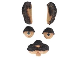 Conjunto de Escultura de Árvore ALLINLESS