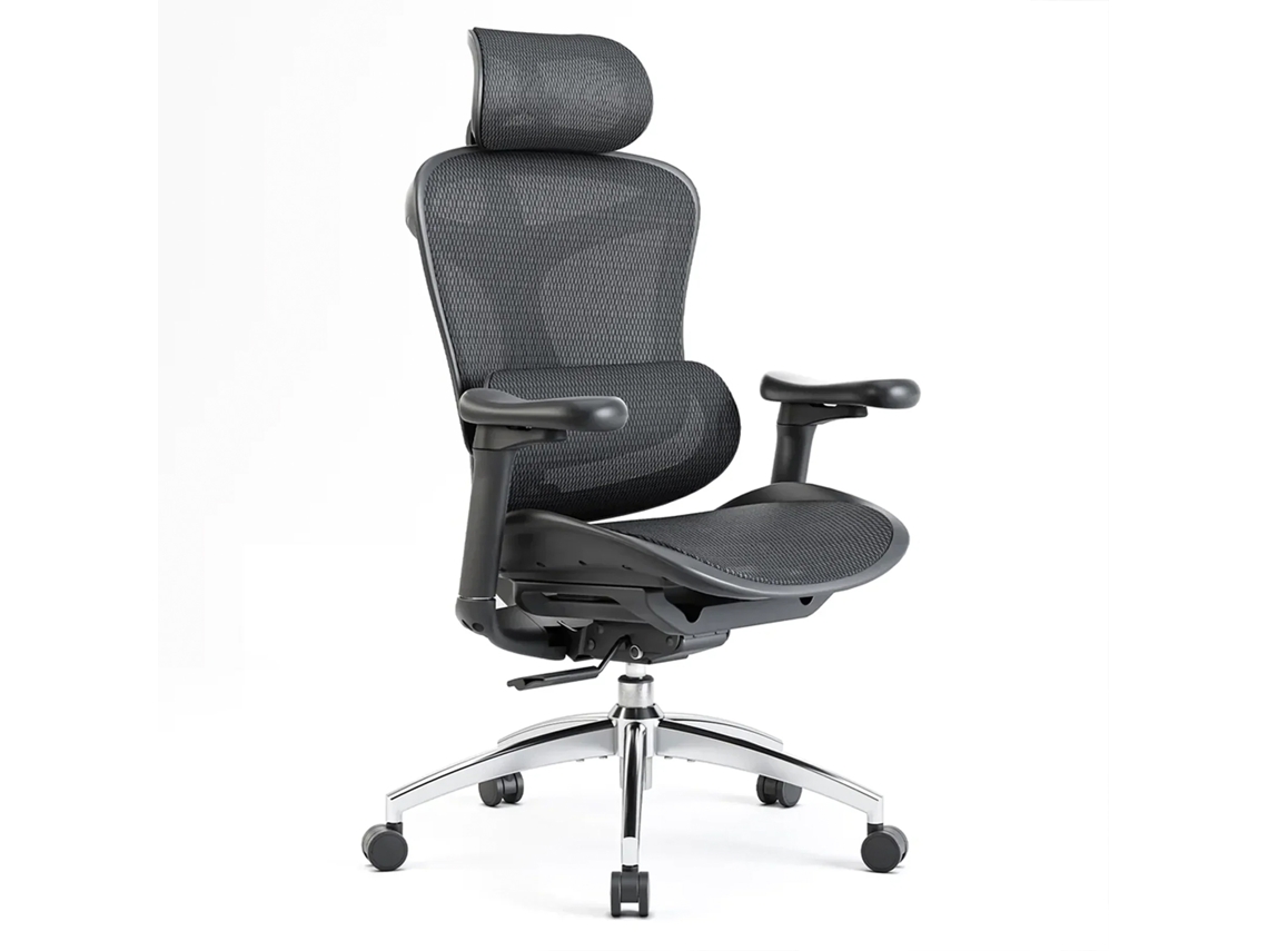 Cadeira ergonômica Doro C300 com apoios de braços 3D, suporte lombar autoajustável, mecanismo de peso e tela. Certificação TÜV/SGS. Preta. Sihoo (150 kg).