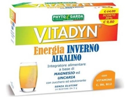Suplemento Alimentar PHYTO GARDA Vitadyn Energia Inverno (14 carteiras)