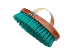 Pequena Escova de Dente Nylon Douradohispano Hipica