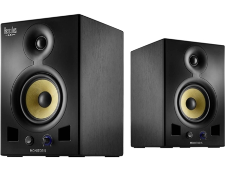 Coluna Monitor 5 80W RMS  DJ