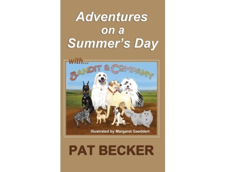 Livro Adventures On A Summers Day De Pat Becker (inglês - Capa Dura)
