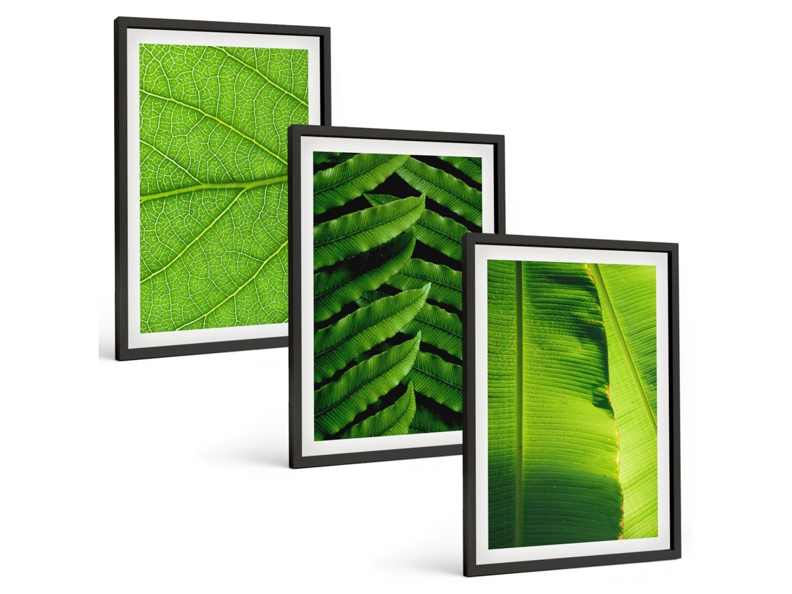 Conjunto De Pinturas Folhas Tropicais, Macrofotografia Espelharte (3 Peças 40x60 Cm)