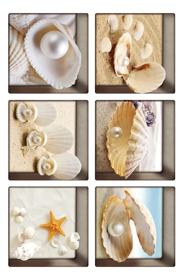Adesivos Antiderrapantes 3d Shellvayotoy