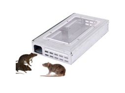Armadilha para Ratos Grande, Automática, Reutilizável, Capturadora de Camundongos e Roedores S/MARCA