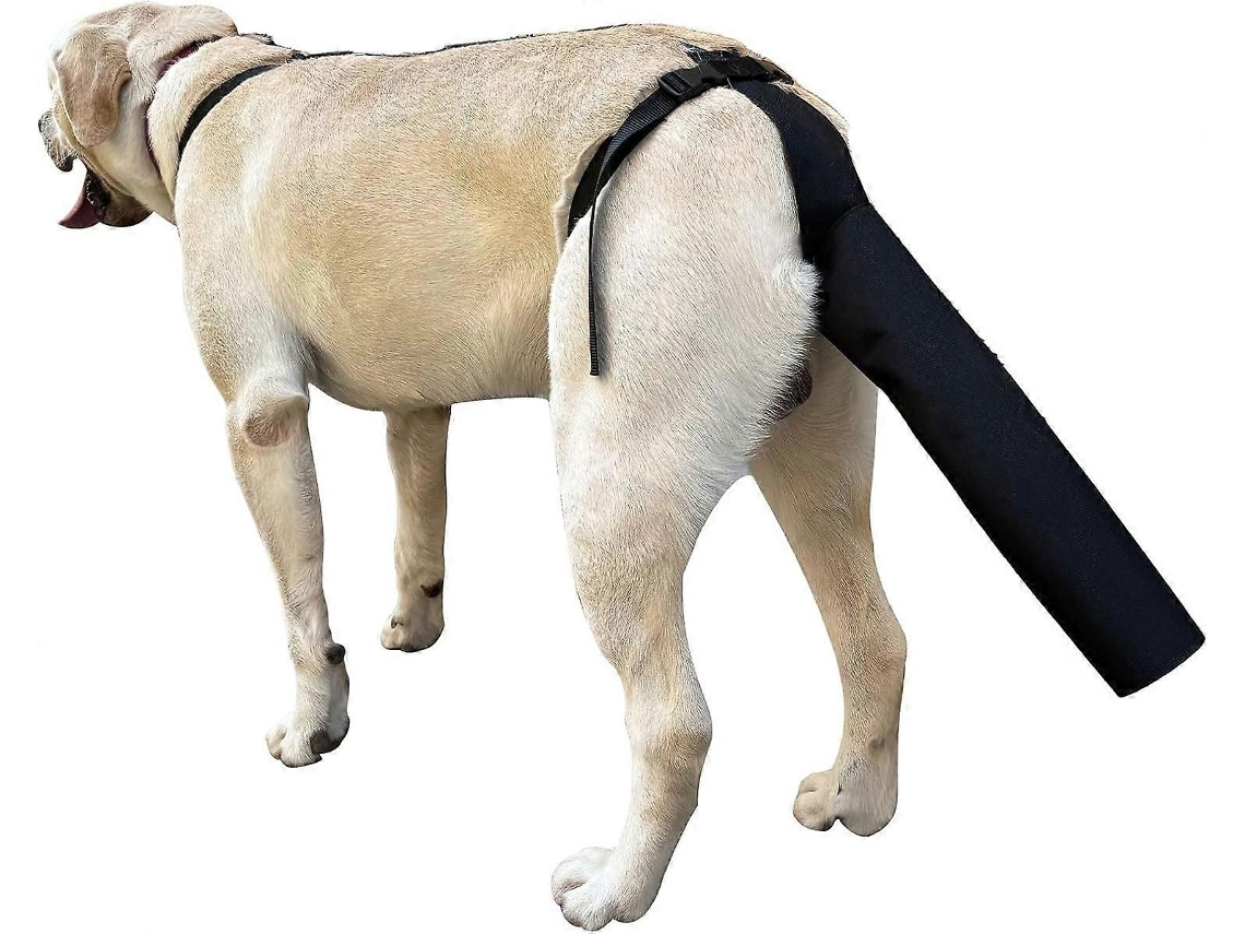 Protetor De Cauda Para Cães, Cobertura De Cauda Para Feridas, Com Arnês Preto