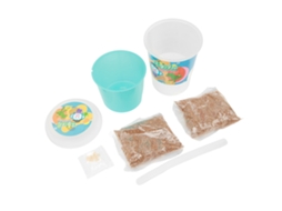 Mali kit de Plantio Diy para Crianças com Vaso, Sementes e Solo para Plantar Pepino Brinquedo Educativo