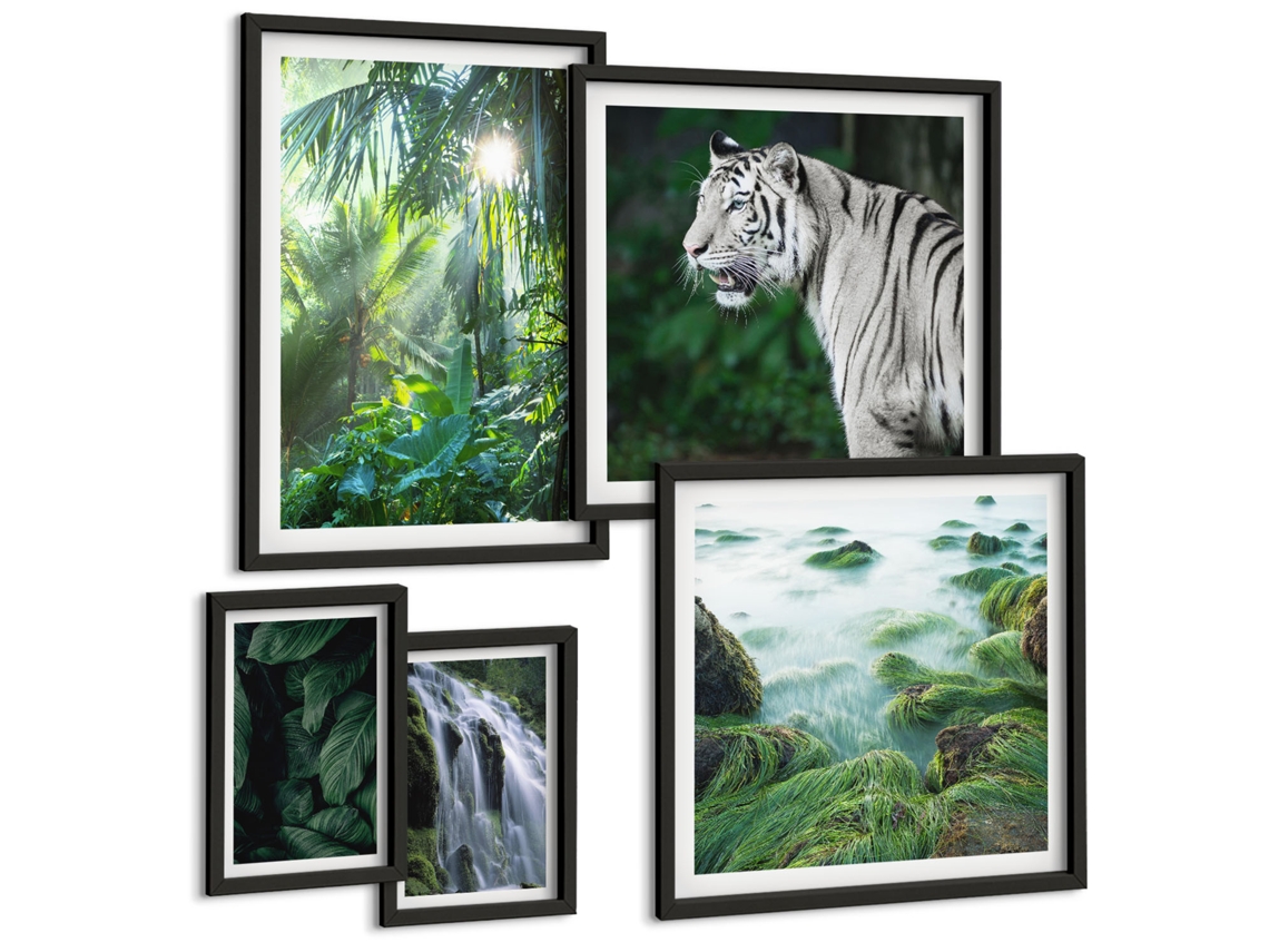 Conjunto De Pinturas Natureza Tropical Animais Espelharte (5 Peças)