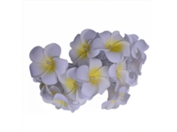 Cordas de Luzes Frangipani Frangipani Artificiais Alimentadas Por Bateria Festa de Natal Família Casamento Praia