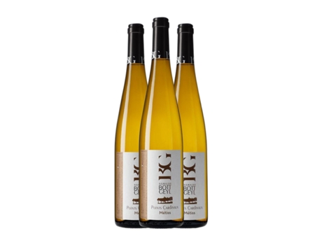 Vinho branco BOTT-GEYL Points Cardinaux Pinot Cinza Alsace (0.75 L - 3 Unidades)