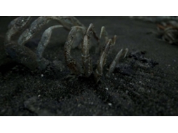 Jogo PS4 Death Stranding (Collector's Edition - M18) Jogo PS4 Death Stranding (Collector's Edition - M18)