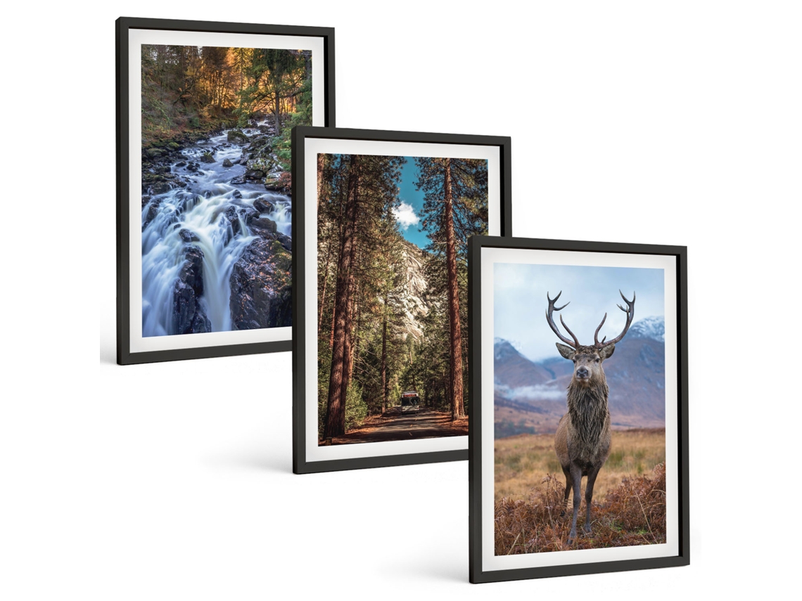 Galeria De Pinturas Murais Cachoeira, Floresta, Montanhas, Veado Natureza Moldura Preta Quadros Para A Sala De Estar Espelharte (3 Piezas De 40x60 Cm)