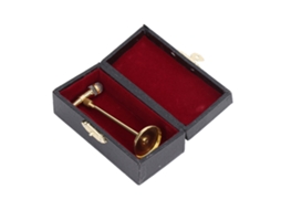 Miniatura de Microfone Ajustável, Modelo de Instrumento Musical, com Caixa de Armazenamento Decorativa Dourada
