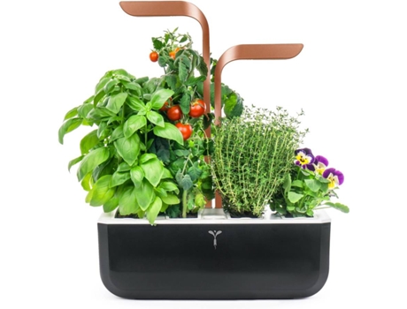 Horta Urbana Véritable Smart Cooper Edition