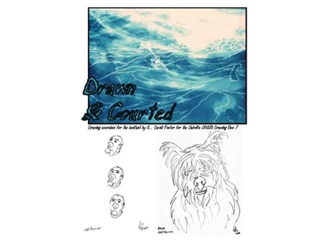 Livro Drawn Courted de R David Foster (Inglês)