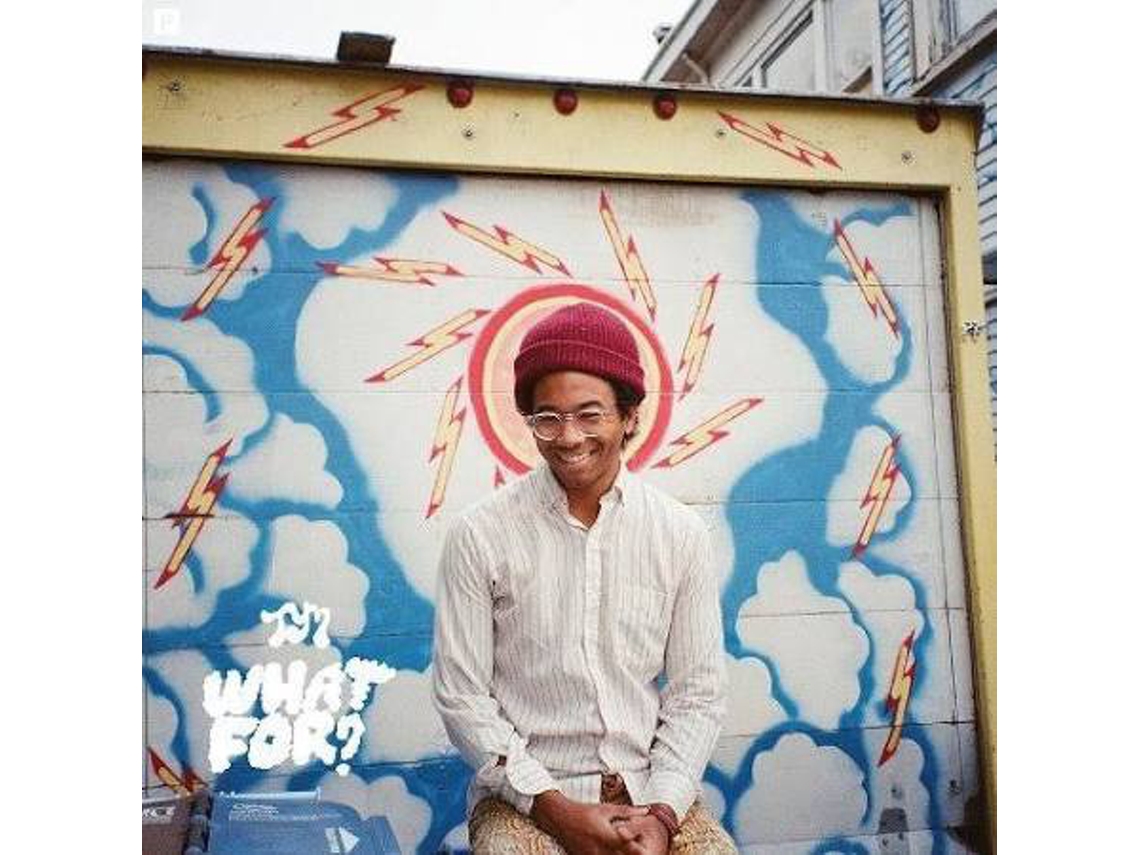 CD Toro Y Moi - What For?