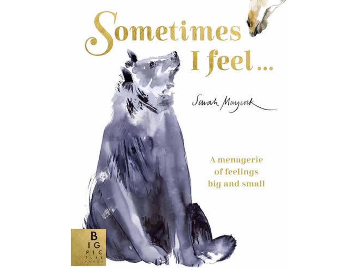 Livro Sometimes I Feel... de Sarah Maycock (Inglês)