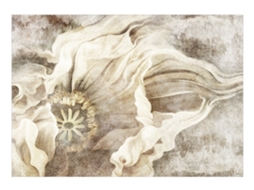 Papel de Parede ARTGEIST Magic Flower (392x280)