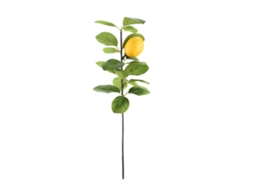 Laxiscreed Ramo De Limão Simulado Para Decoração De Interiores, Fruta Única