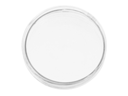 Placa De Petri De Vidro Com Tampa Plana, 90 Mm, Para Estudos (1 Unidade)