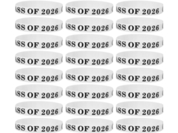 Pulseiras De Silicone Tehaux Para Formatura Da Turma 2026, Pacote Com 24 Pulseiras Elásticas Em Cores Claras, Tamanho