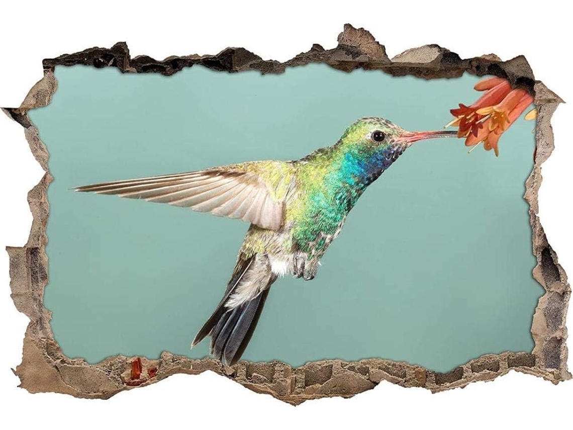 Adesivos Muraux Adesivo Colibri Colorido Adesivo Mural Para Salao De Beleza Quarto Cozinha Escritório Adulto Criança 62x92cm