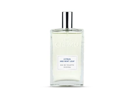 Eau De Toilette Para Homem 100ml Cítricos Folhas De Menta Perfume Cítrico Presente Para Cremo