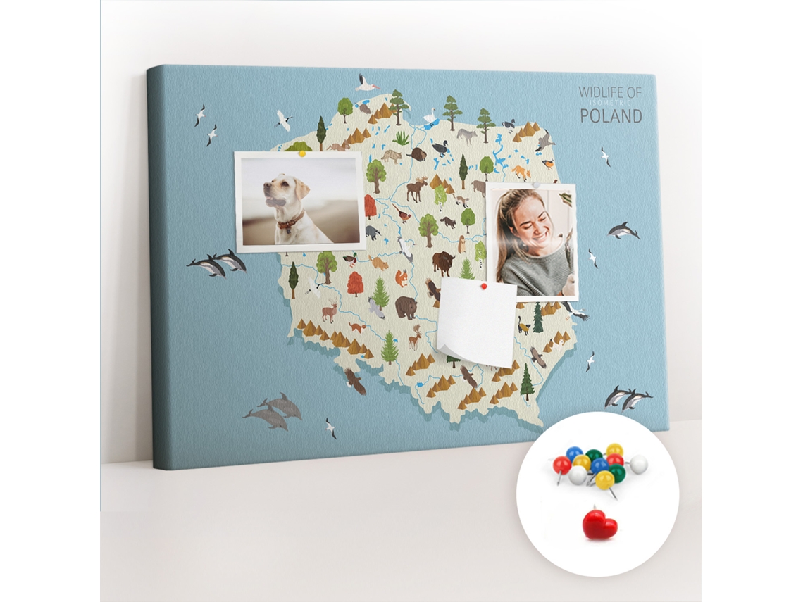Quadro De Cortiça Mapa De Animais Da Polónia Para O Corredor Espelharte (60x40 Cm)