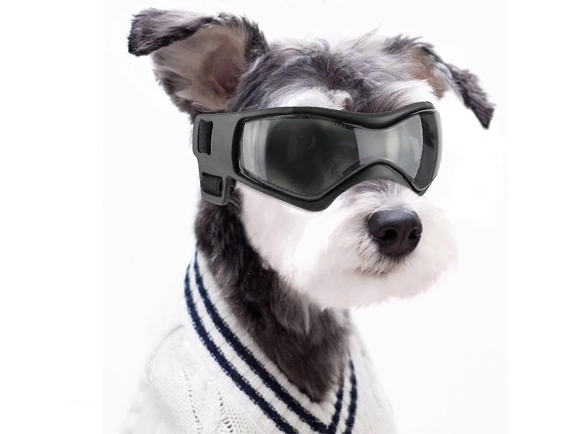 Óculos Uv Cães Resistentes Água Vento Ajustáveis Modernos