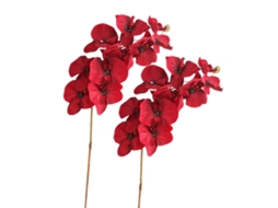 Vaso de Arame para Envio com Flores Artificiais LAXISCREED